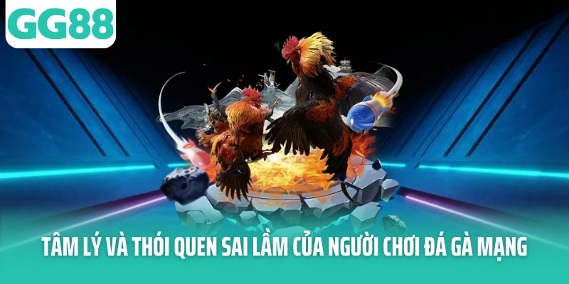 Tâm lý và thói quen sai lầm của người chơi đá gà mạng